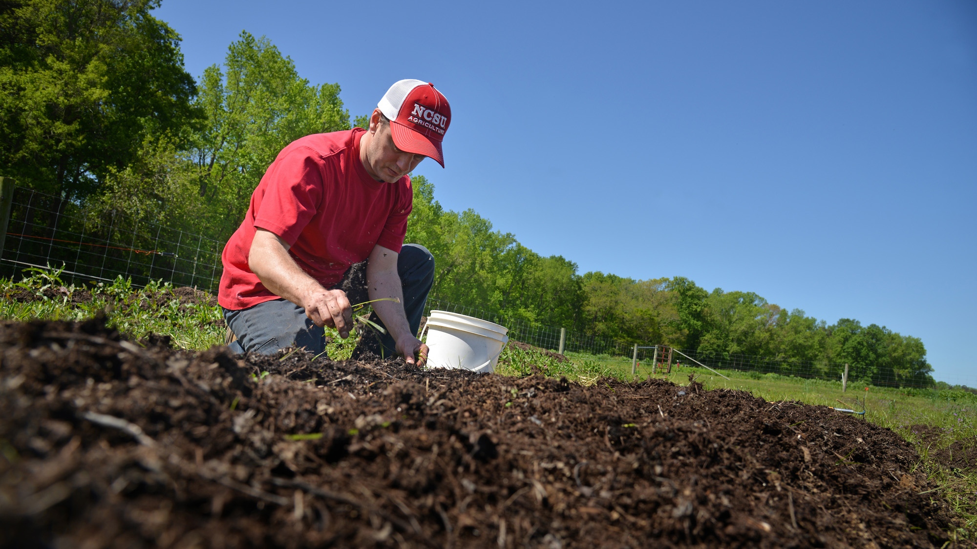 A soil sciences student works the soil in his section of garden at North Carolina State University's Agroecology Farm.