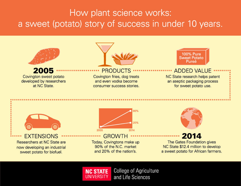 Sweet Potato Story_NC State CALS