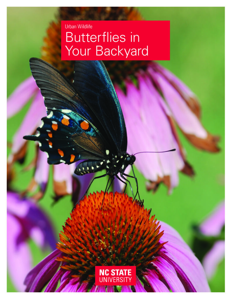 Cover of the "Butterflies in your backyard" publication from NC State Extension, which features a black butterfly on a purple-and-red flower