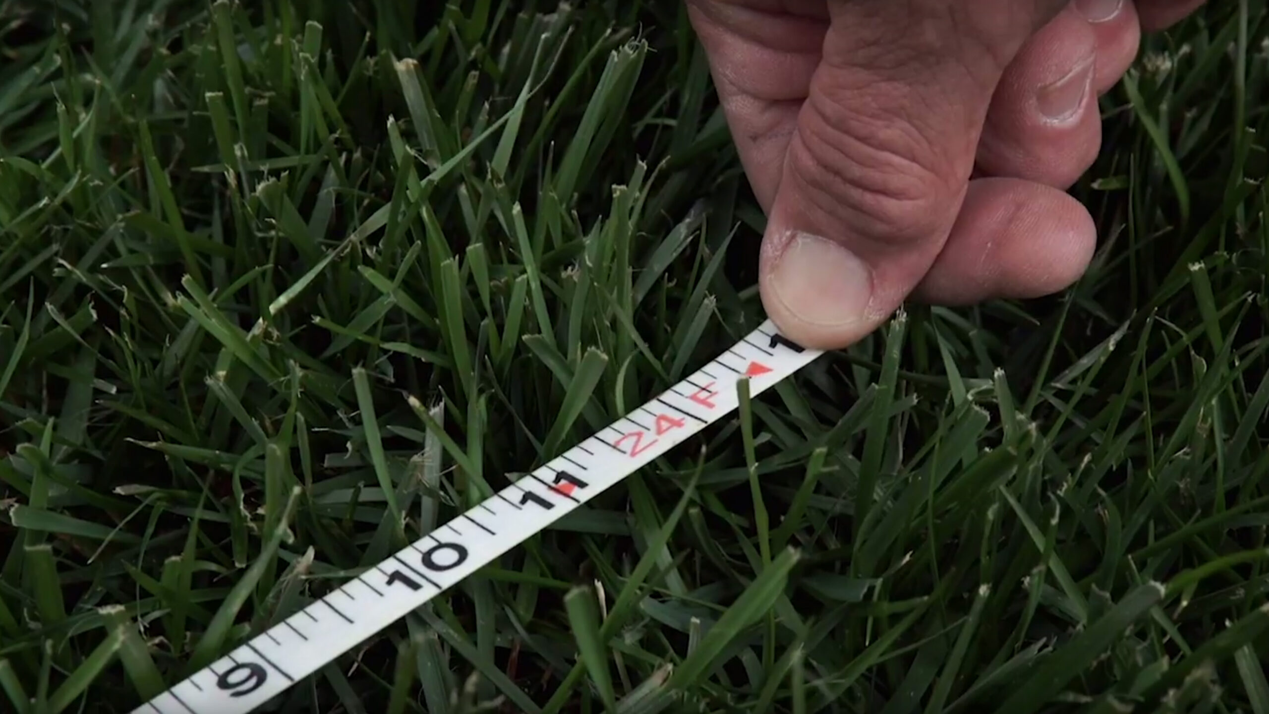 Hand holding a tape measure against grass in the lawn