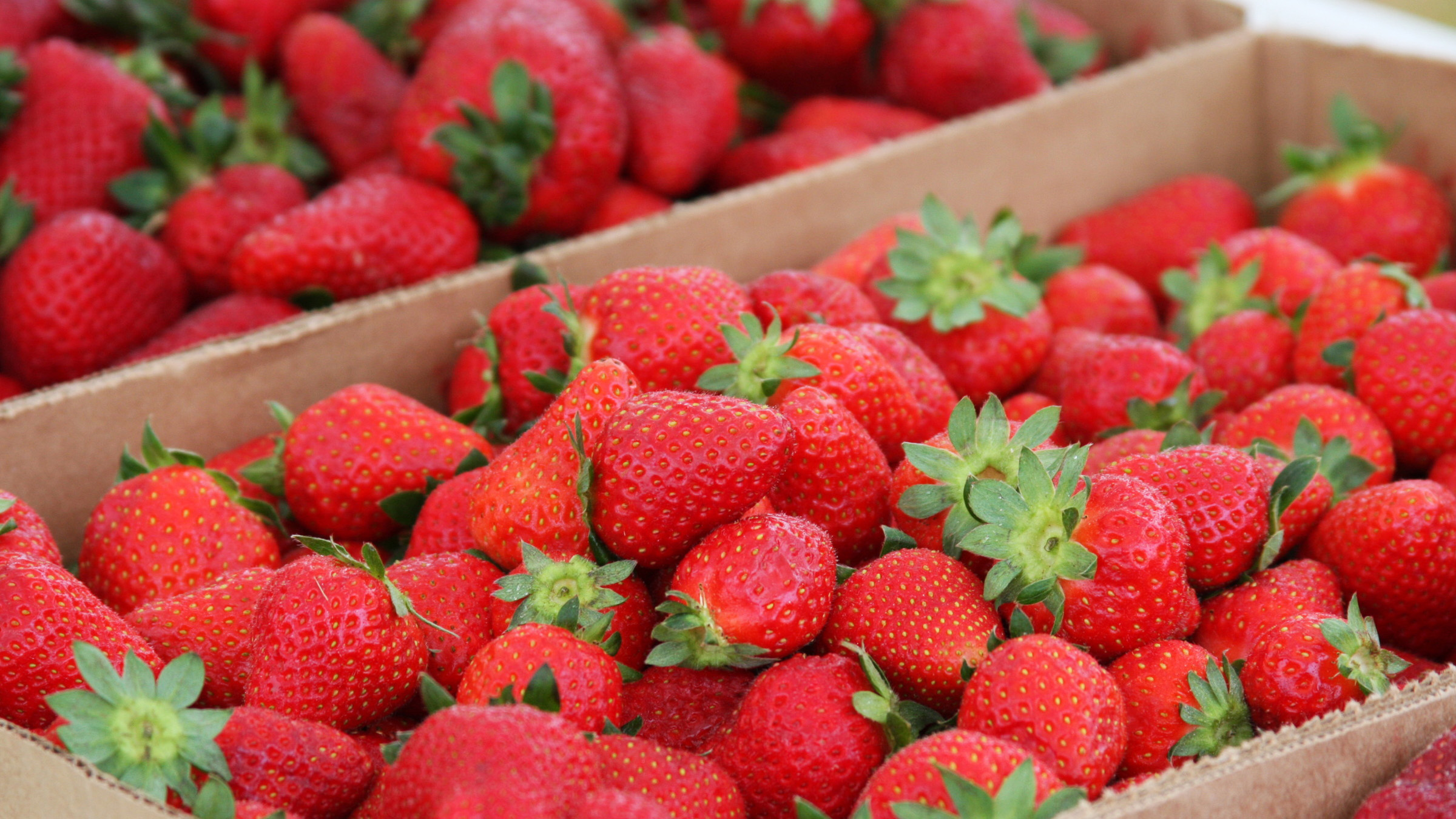 Fresh strawberries in boxes at a farmers market