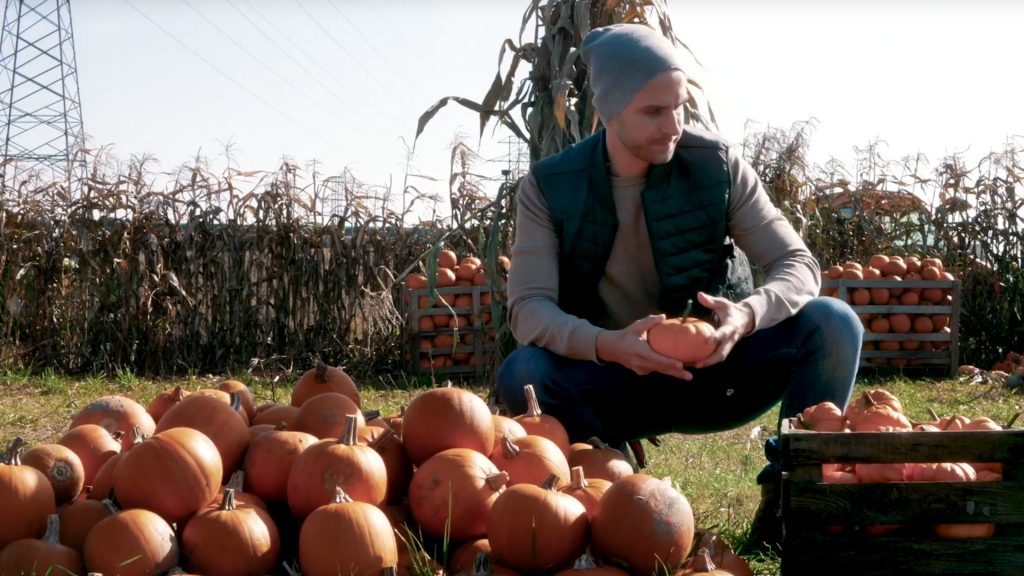 A man placing small pumpkins into a wooden crate while in a field.