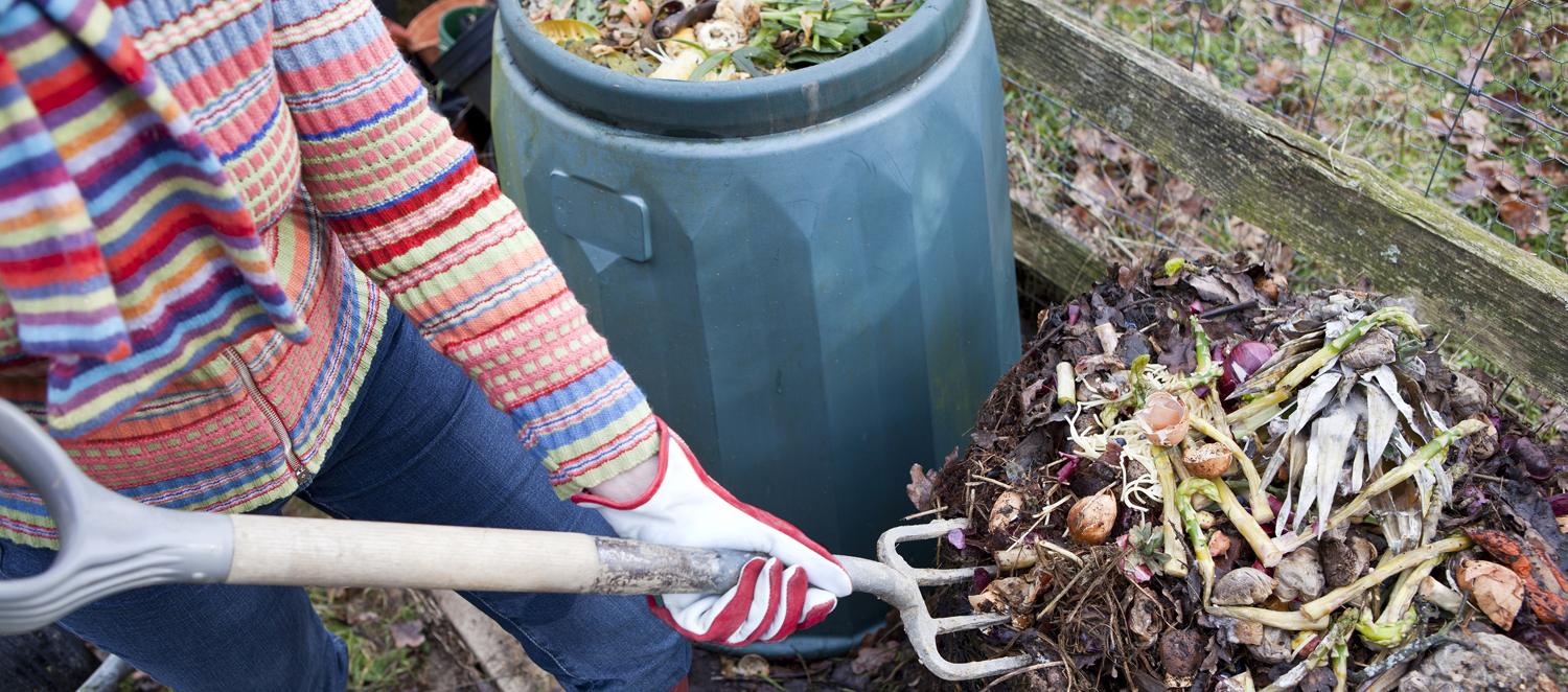 Woman gardener using garden fork to first remove uncomposted food waste from top of composting bin pile, before spreading the compost below onto a vegetable garden.