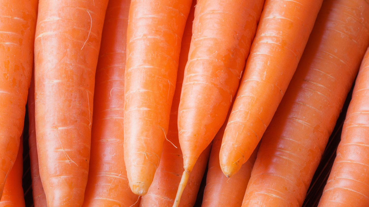 A close-up photo of clean carrots
