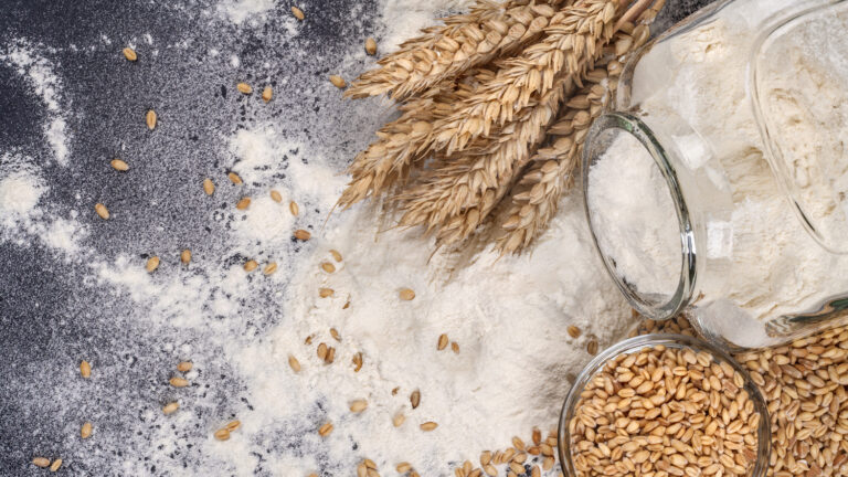 turning-n-c-wheat-into-flour-homegrown-nc-state-university