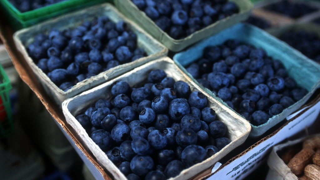 Close-up of individual containers of fresh blueberries on a table at a local farmers market