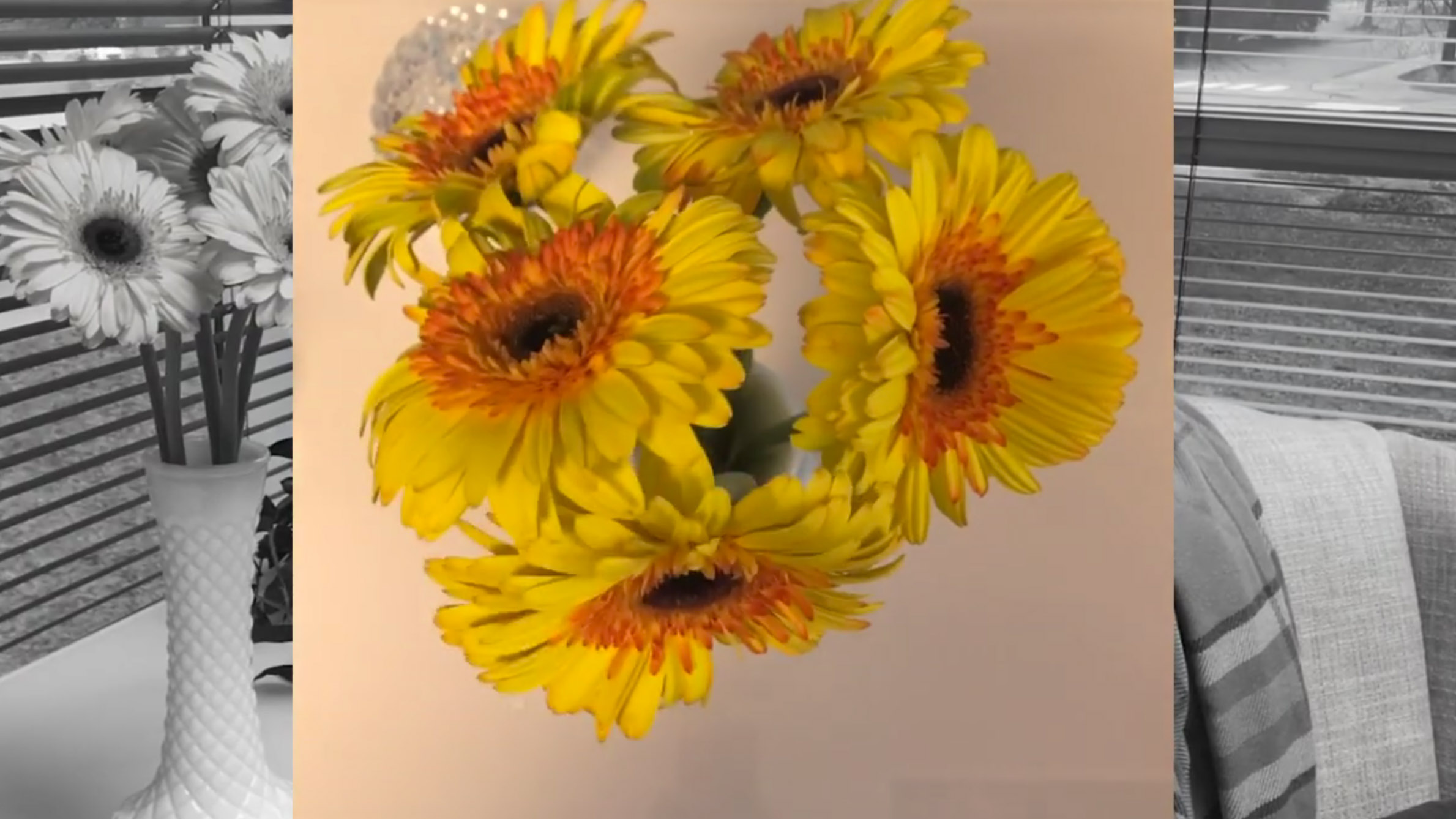 Overhead view of yellow fresh-cut flowers in a white vase