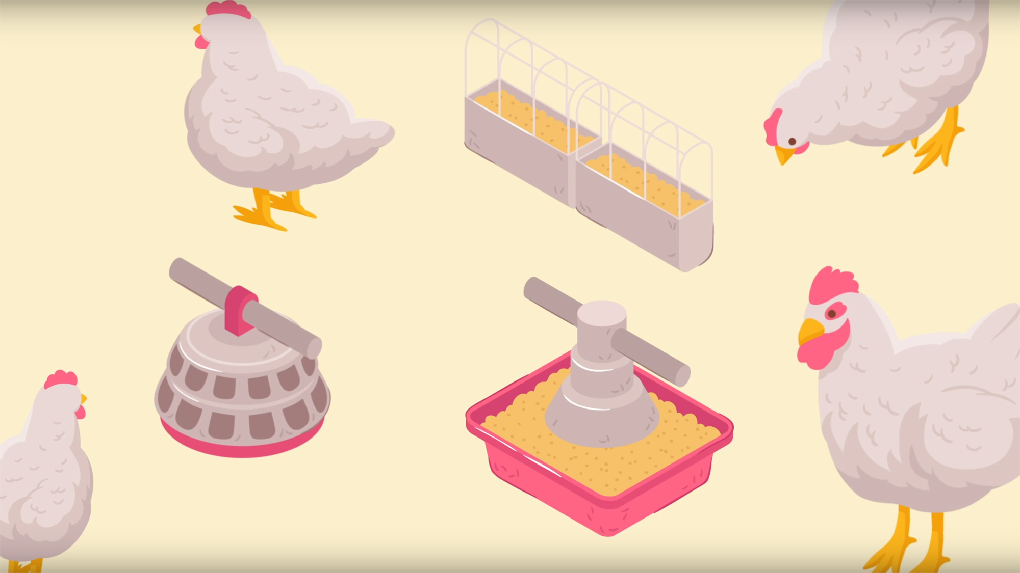 Animated graphic displaying chickens and feed.