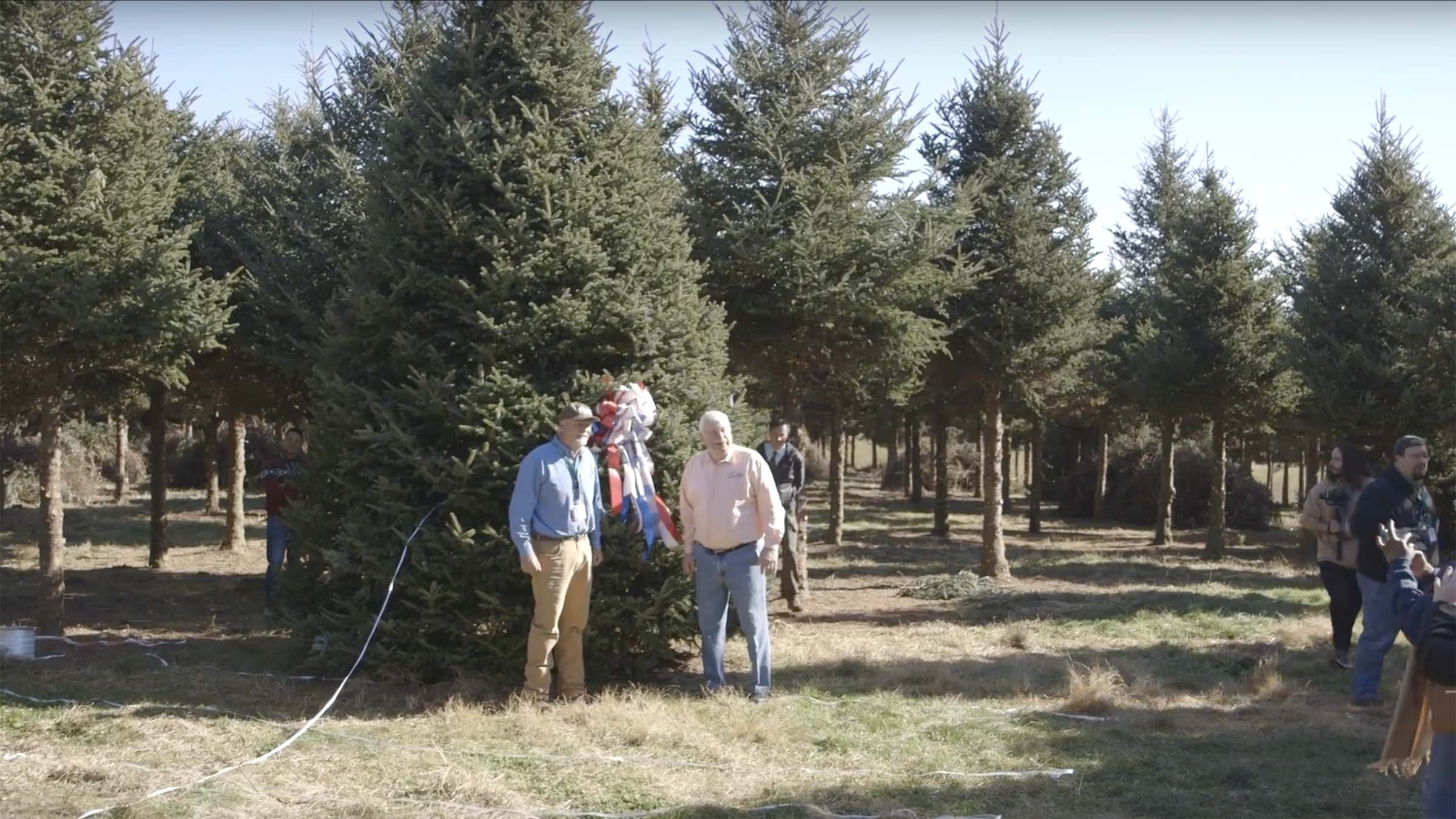 Over the years, the White House has selected a North Carolina Fraser fir for its annual Christmas Tree. But what does it take to produce a Grand Champion Christmas Tree? The secret comes from NC State.