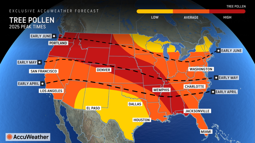 Tree Pollen Peak Season Map for 2025 from AccuWeather