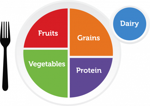 USDA My Plate program icon with the five main food groups listed: fruits, vegetables, grains, protein and dairy.
