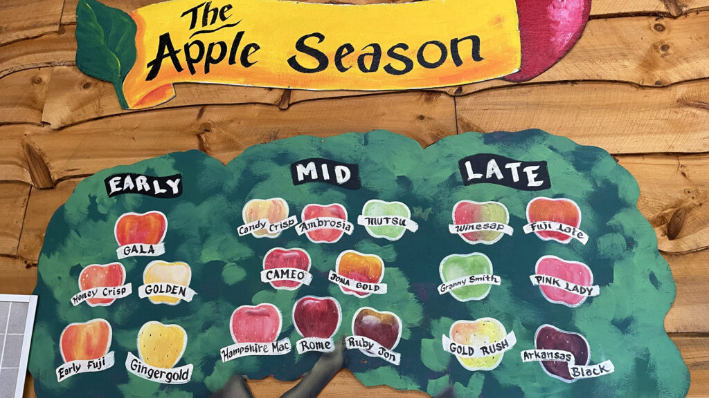 This apple tree sign illustrates when individual varieties of apple are in-season and most abundant in North Carolina. Gala and Honeycrisp apples are early season varieties, for example, while Granny Smith and Pink Lady are late-season apples.