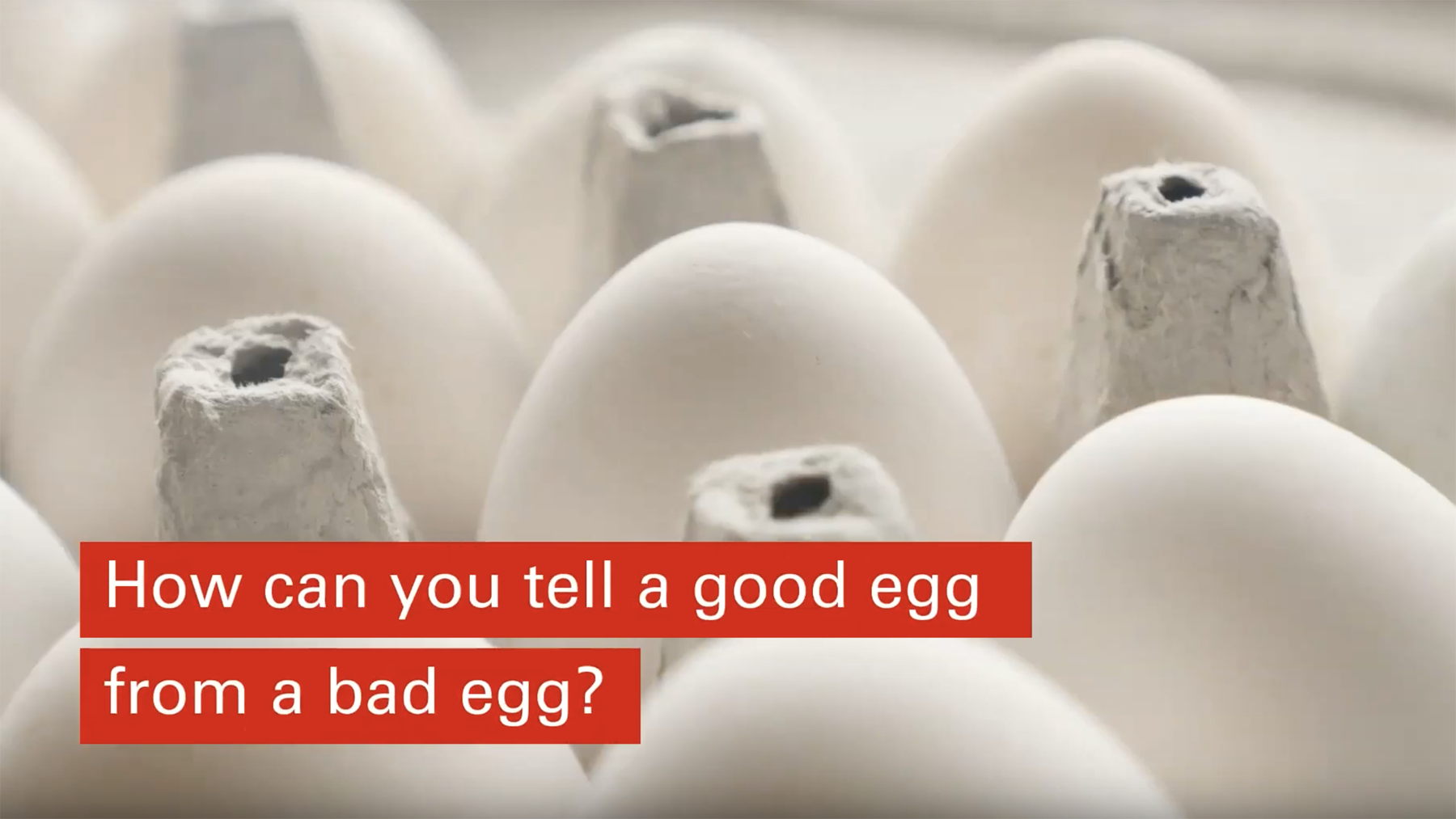 How to tell a good egg from a bad egg