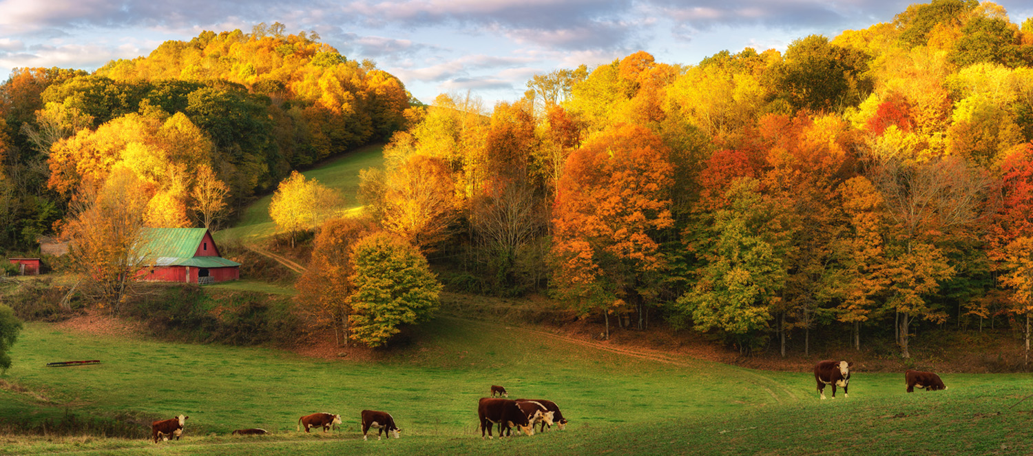 A North Carolina farm with peak fall foliage on full display.